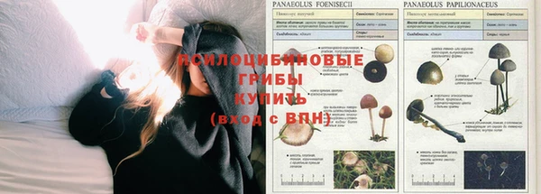 гашик Вязники