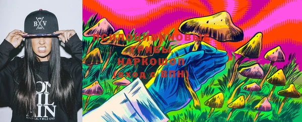 гашик Вязники